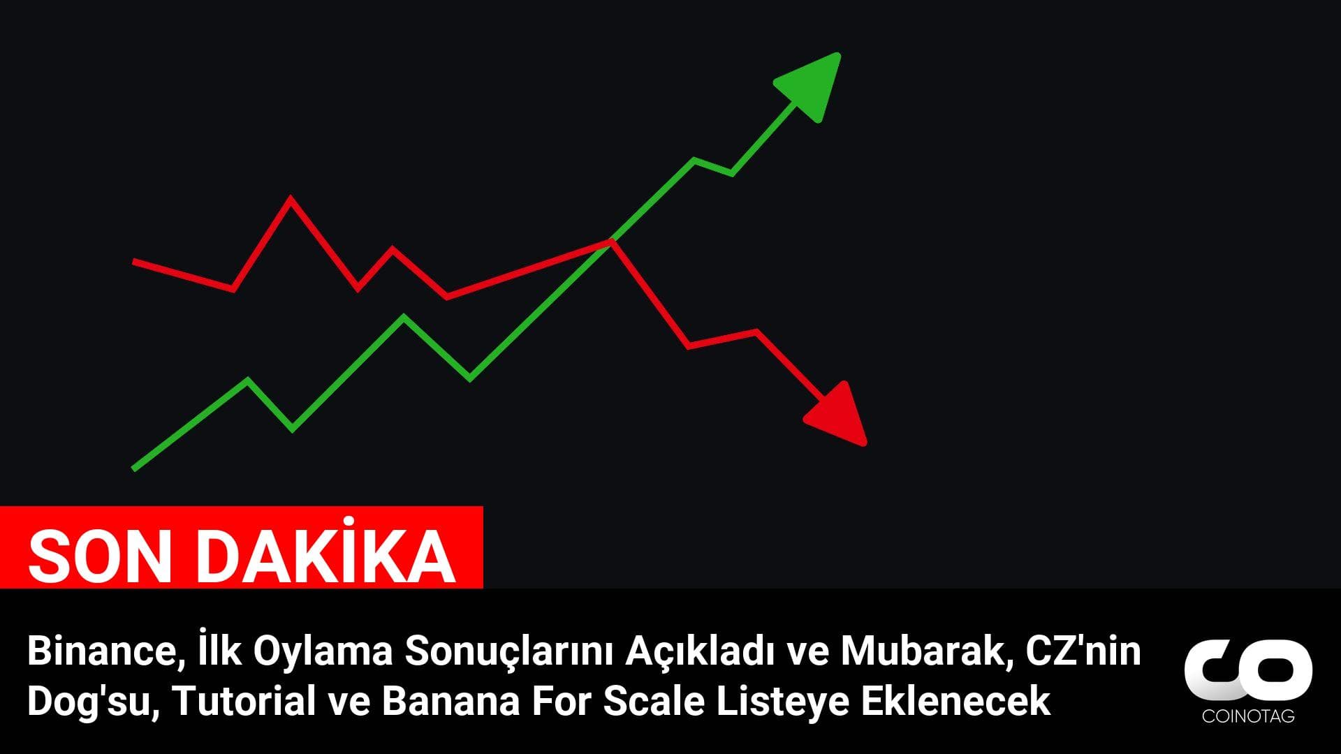 Binance, İlk Oylama Sonuçlarını Açıkladı ve Mubarak, CZ’nin Dog’su, Tutorial ve Banana For Scale Listeye Eklenecek