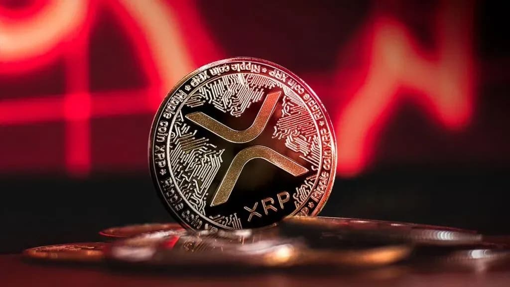 XRP’de Ağ Aktivitesi Düştü, Borsalara Yatırmalar Arttı: Neler Oluyor?
