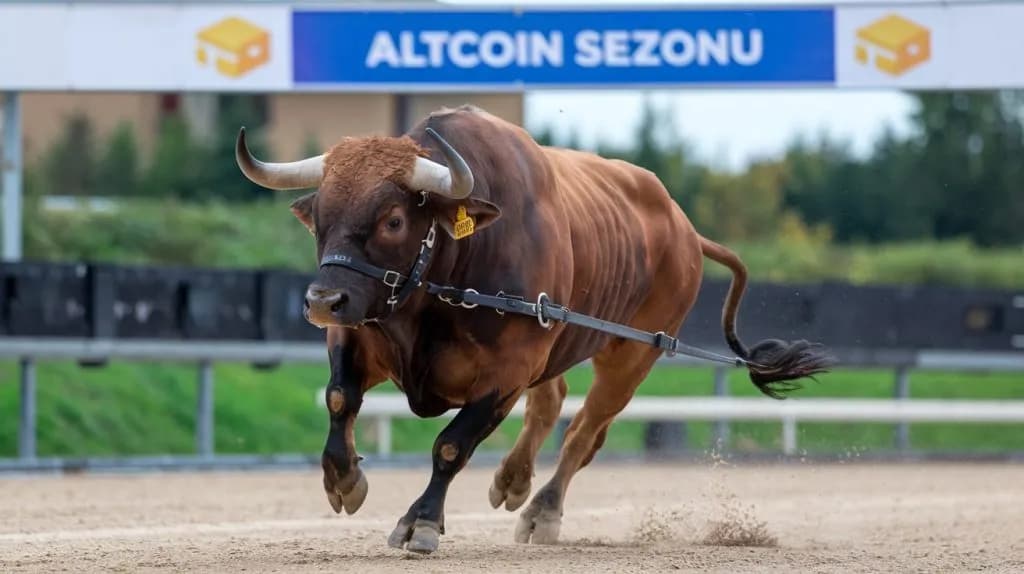 Altcoin Sezonu Endeksinde Kıpırdanmalar Var: Sonunda Beklenen Geliyor Mu?