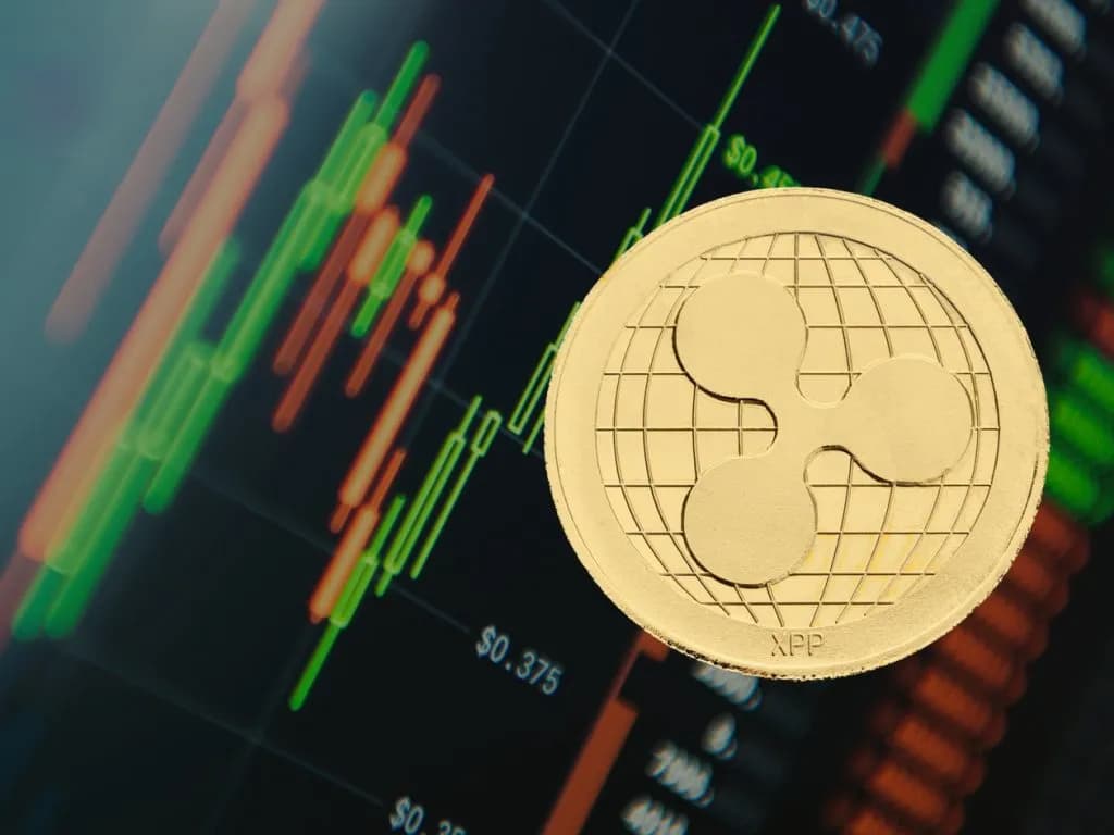 On-Chain Verileri XRP’de Boğa Lehine Görünüm Veriyor: Nasıl Yorumlanmalı?