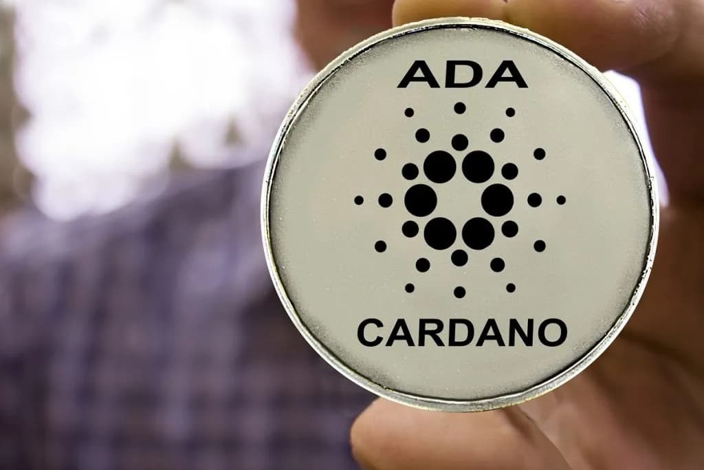 Cardano’da (ADA) Beklenen Büyük Güncellemede Yeni Gelişme Var – Tarih de Netleşti!