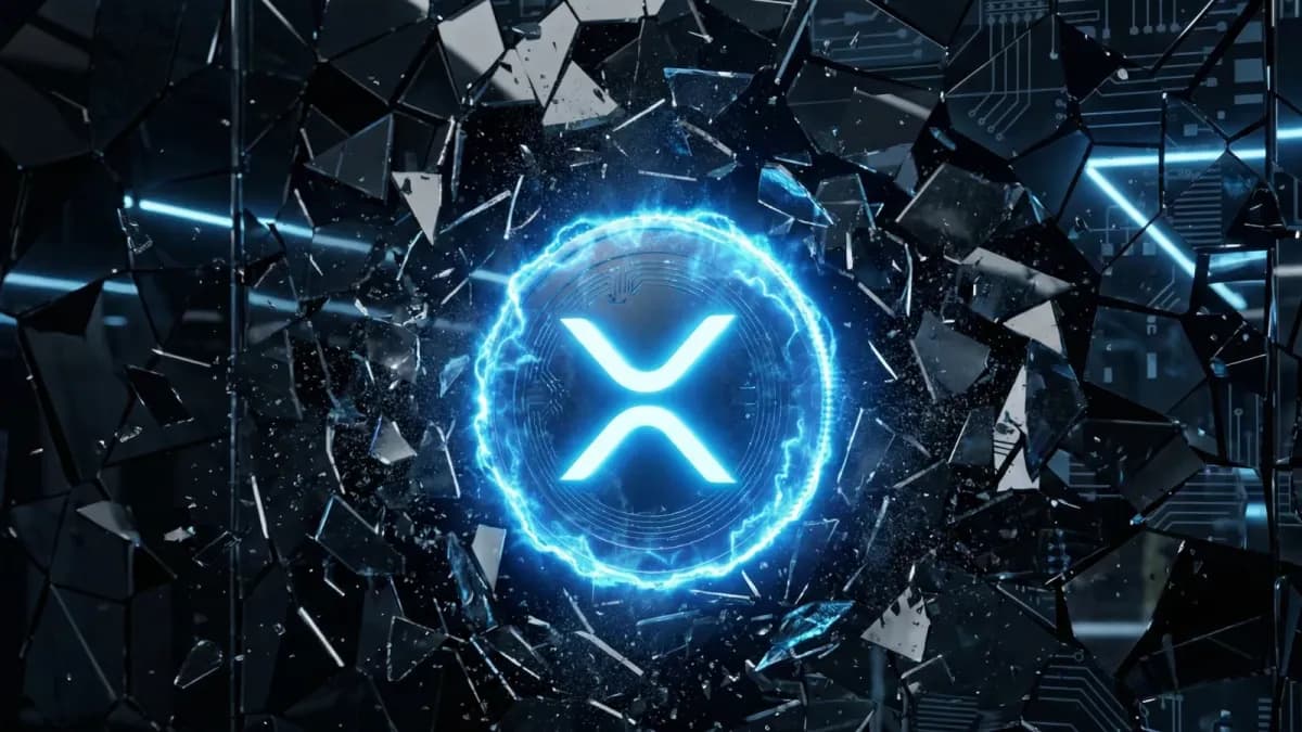 XRP Gemini'de 50 Dolar Gördü, Açık Pozisyon Arttı, NVT Risk Uyarıyor