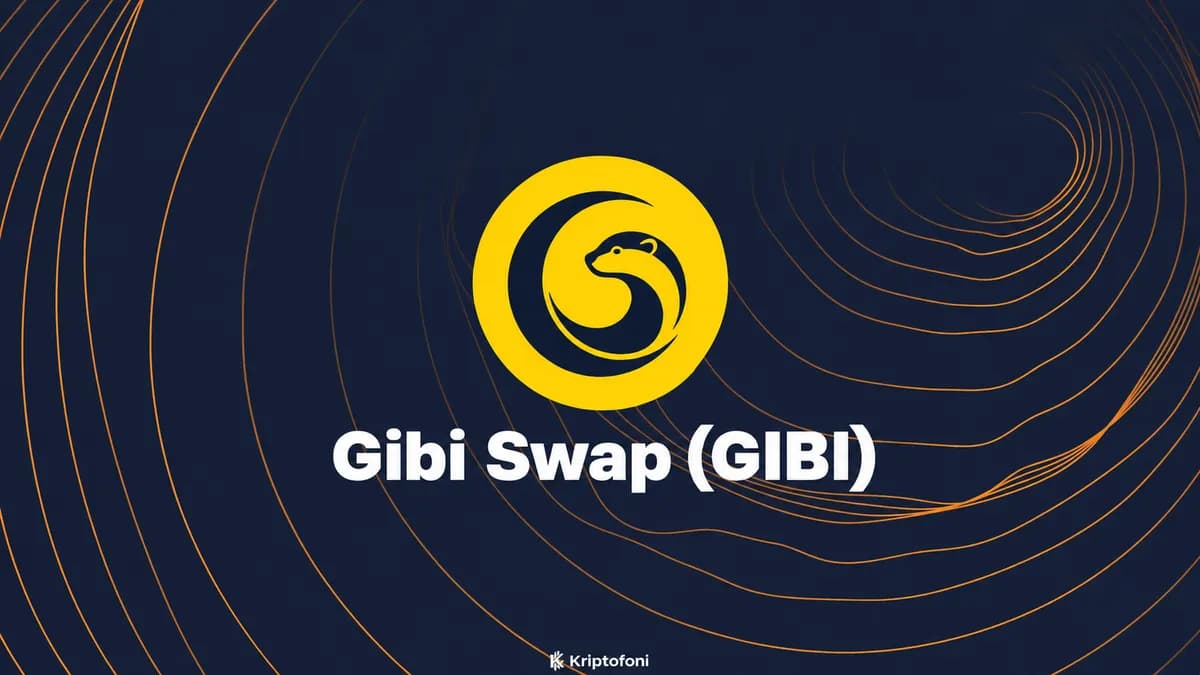 Gibi Swap (GIBI) Coin Nedir?
