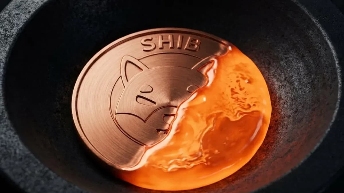 Shiba Inu borsalara taşınan 407 milyar SHIB ile 0,0000054 dolar desteğine yaklaştı
