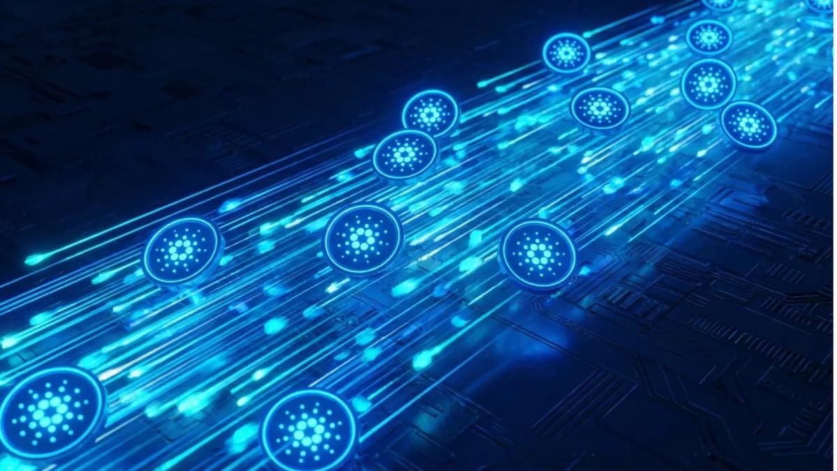 ADA 5 yılın dibine indi! Cardano cephesinde neler yaşandı?