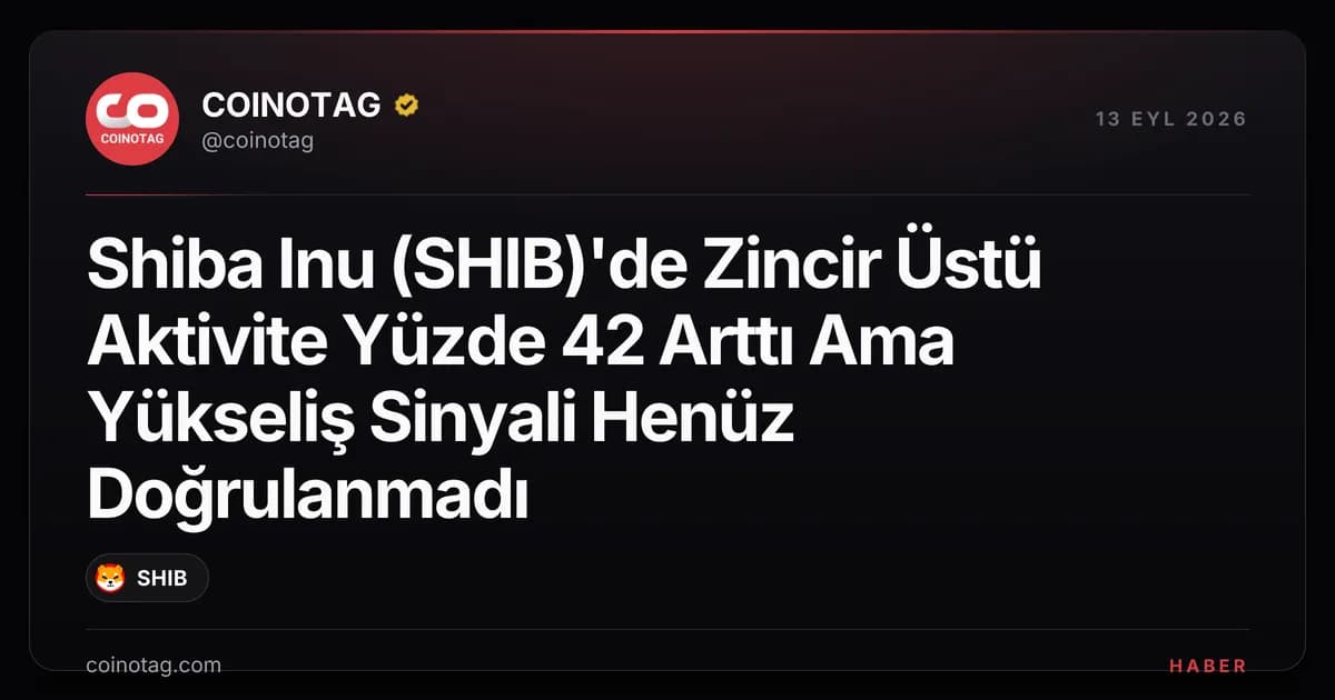 Shiba Inu (SHIB)'de Zincir Üstü Aktivite Yüzde 42 Arttı Ama Yükseliş Sinyali Henüz Doğrulanmadı