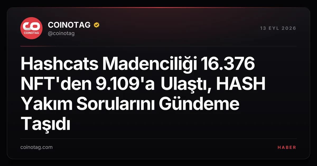Hashcats Madenciliği 16.376 NFT'den 9.109'a Ulaştı, HASH Yakım Sorularını Gündeme Taşıdı