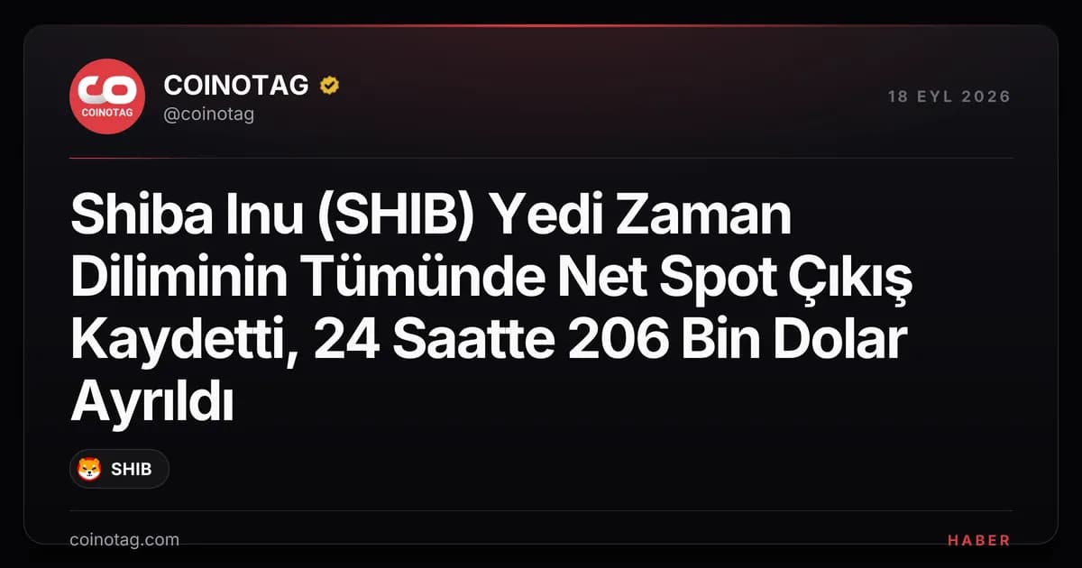 Shiba Inu (SHIB) Yedi Zaman Diliminin Tümünde Net Spot Çıkış Kaydetti, 24 Saatte 206 Bin Dolar Ayrıldı