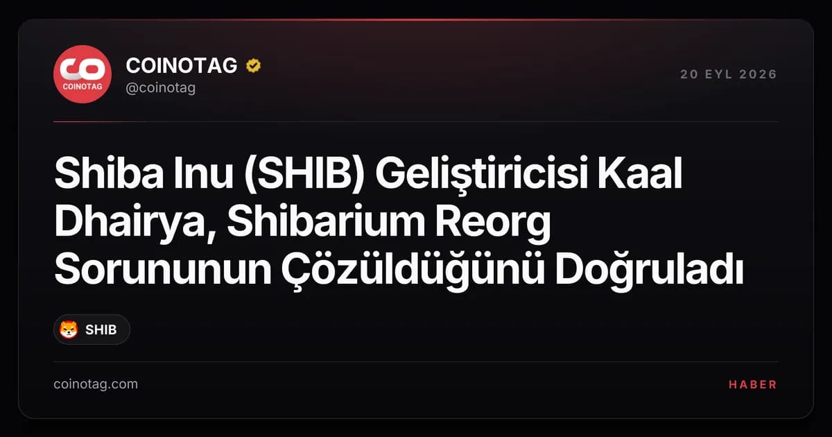Shiba Inu (SHIB) Geliştiricisi Kaal Dhairya, Shibarium Reorg Sorununun Çözüldüğünü Doğruladı