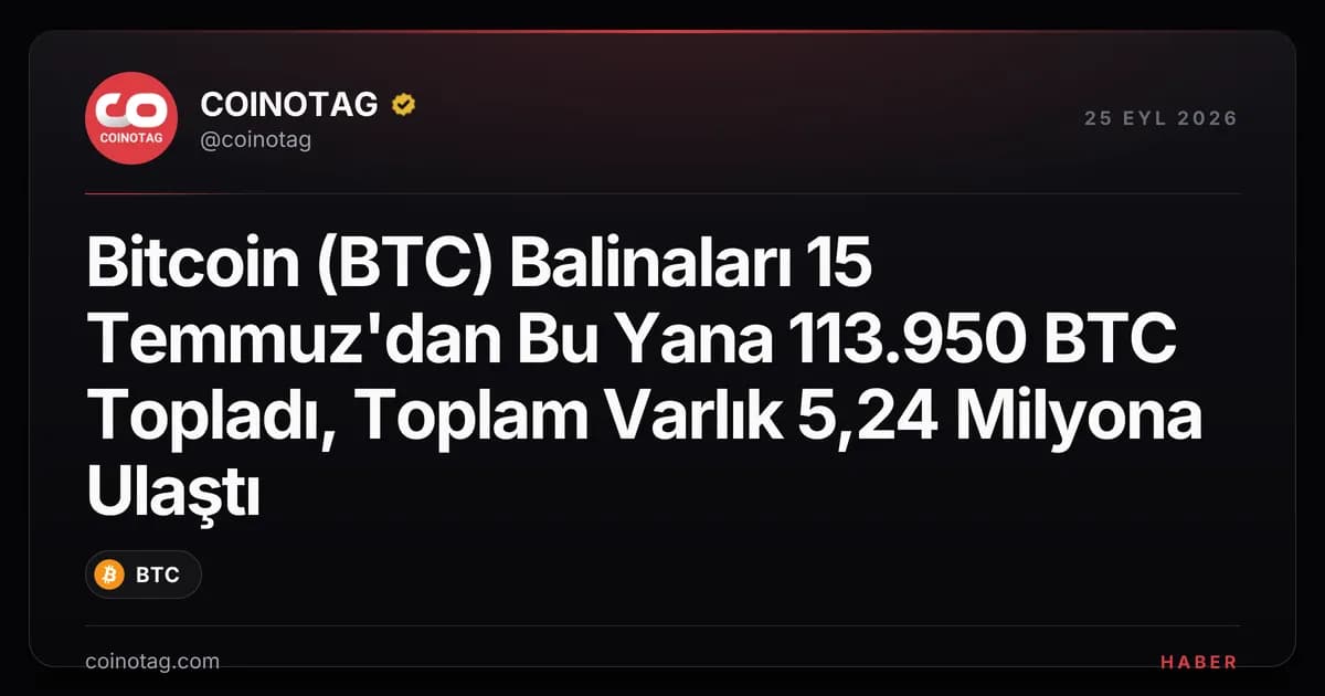 Bitcoin (BTC) Balinaları 15 Temmuz'dan Bu Yana 113.950 BTC Topladı, Toplam Varlık 5,24 Milyona Ulaştı