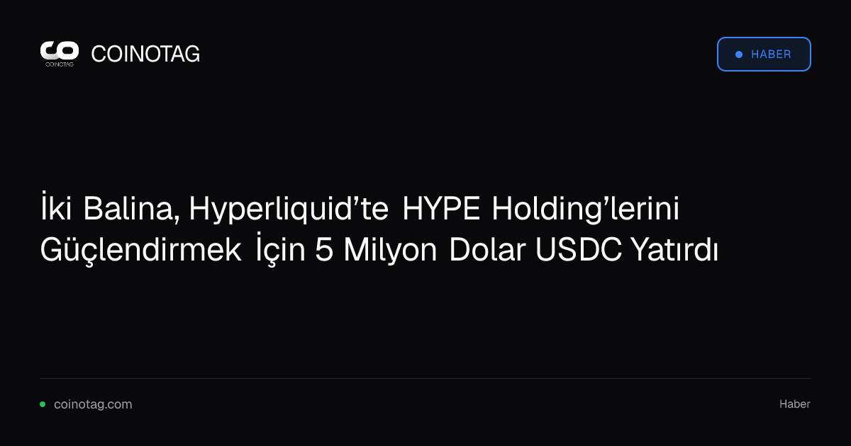 İki Balina, Hyperliquid’te HYPE Holding’lerini Güçlendirmek İçin 5 Milyon Dolar USDC Yatırdı