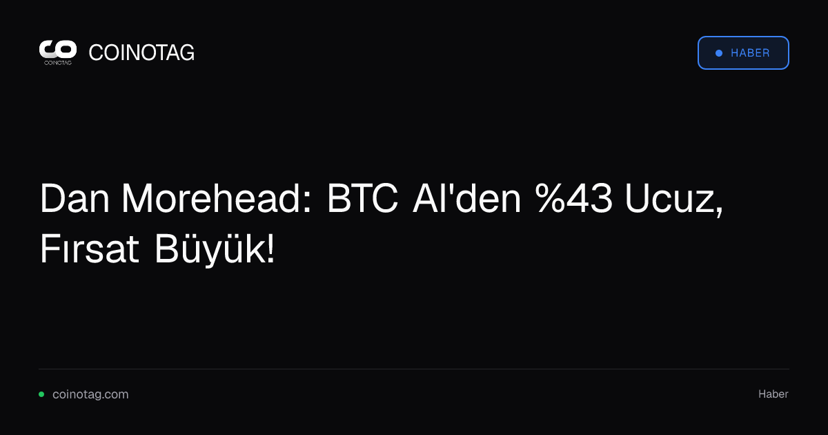 Dan Morehead: BTC AI'den %43 Ucuz, Fırsat Büyük!
