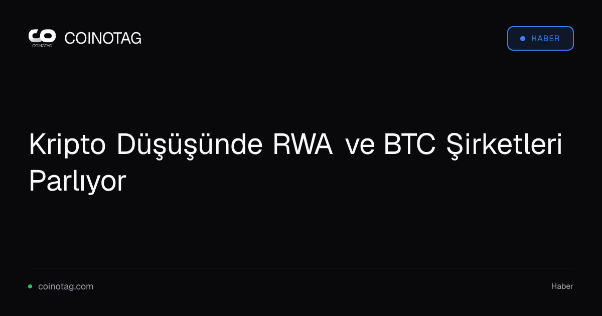 Kripto Düşüşünde RWA ve BTC Şirketleri Parlıyor