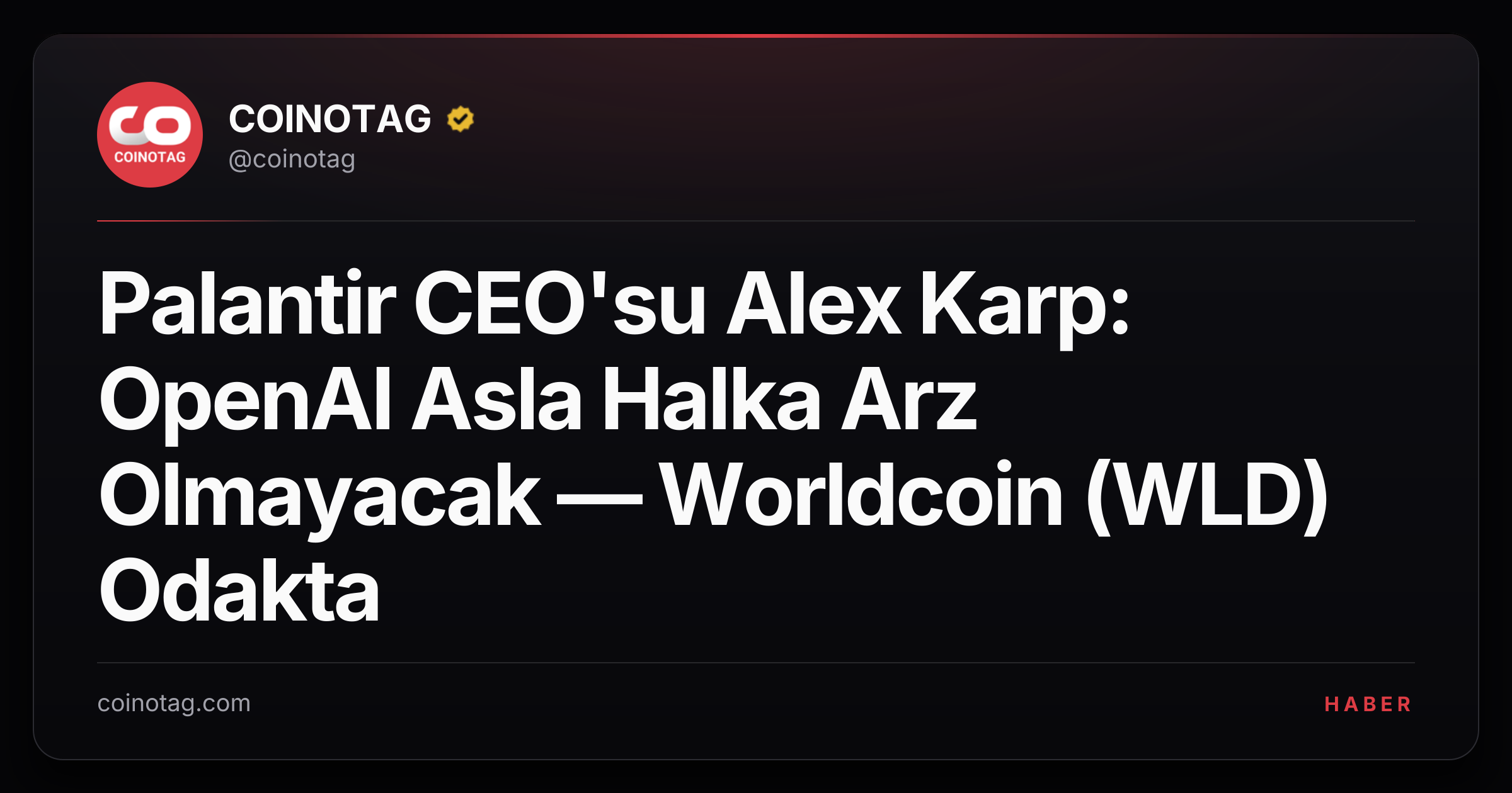 Palantir CEO'su Alex Karp: OpenAI Asla Halka Arz Olmayacak — Worldcoin (WLD) Odakta