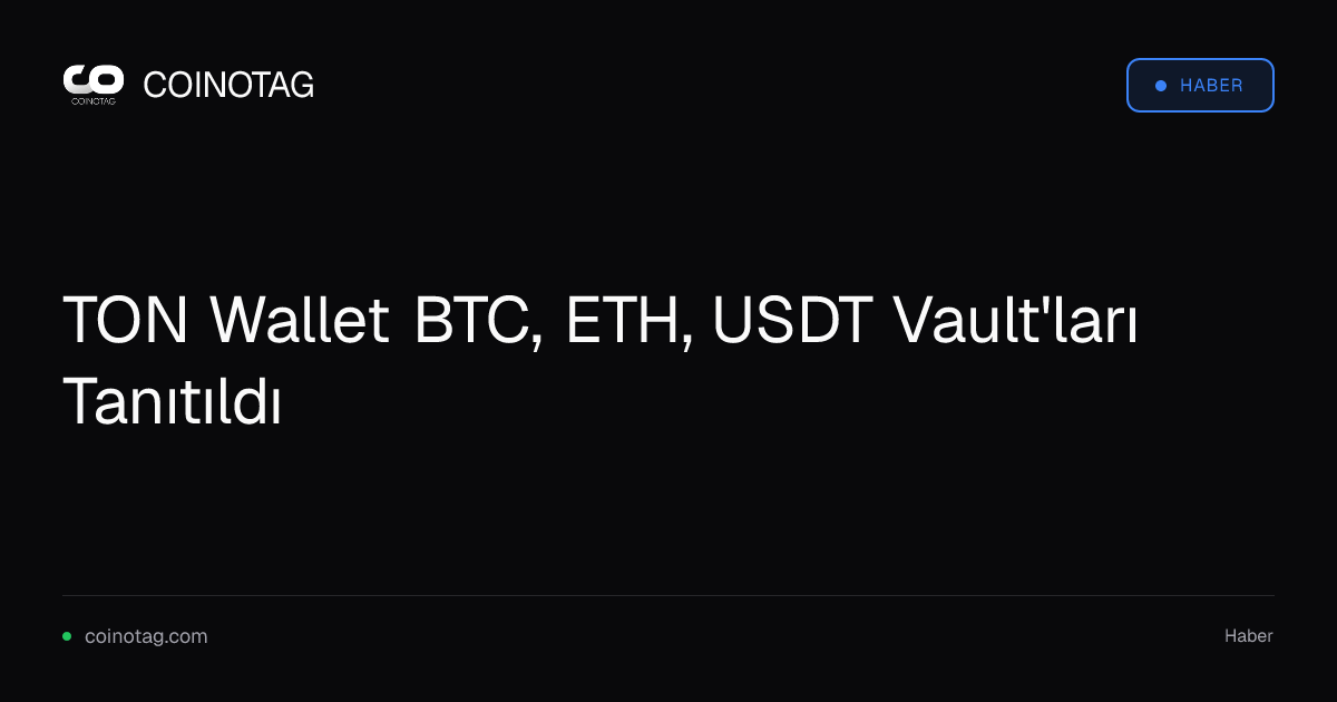 TON Wallet BTC, ETH, USDT Vault'ları Tanıtıldı