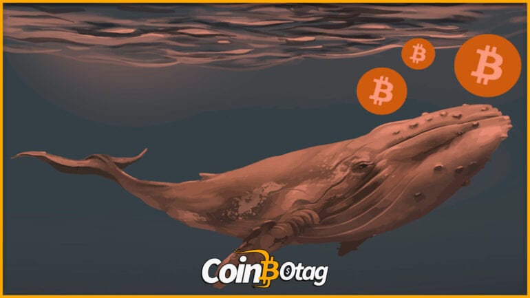 Bitcoin balina