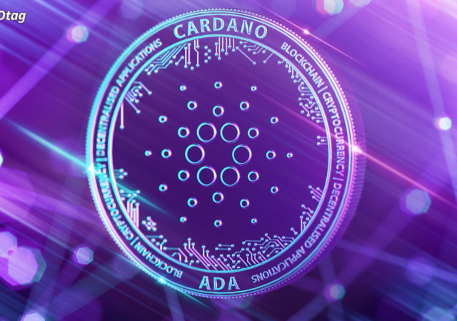 Cardano-1