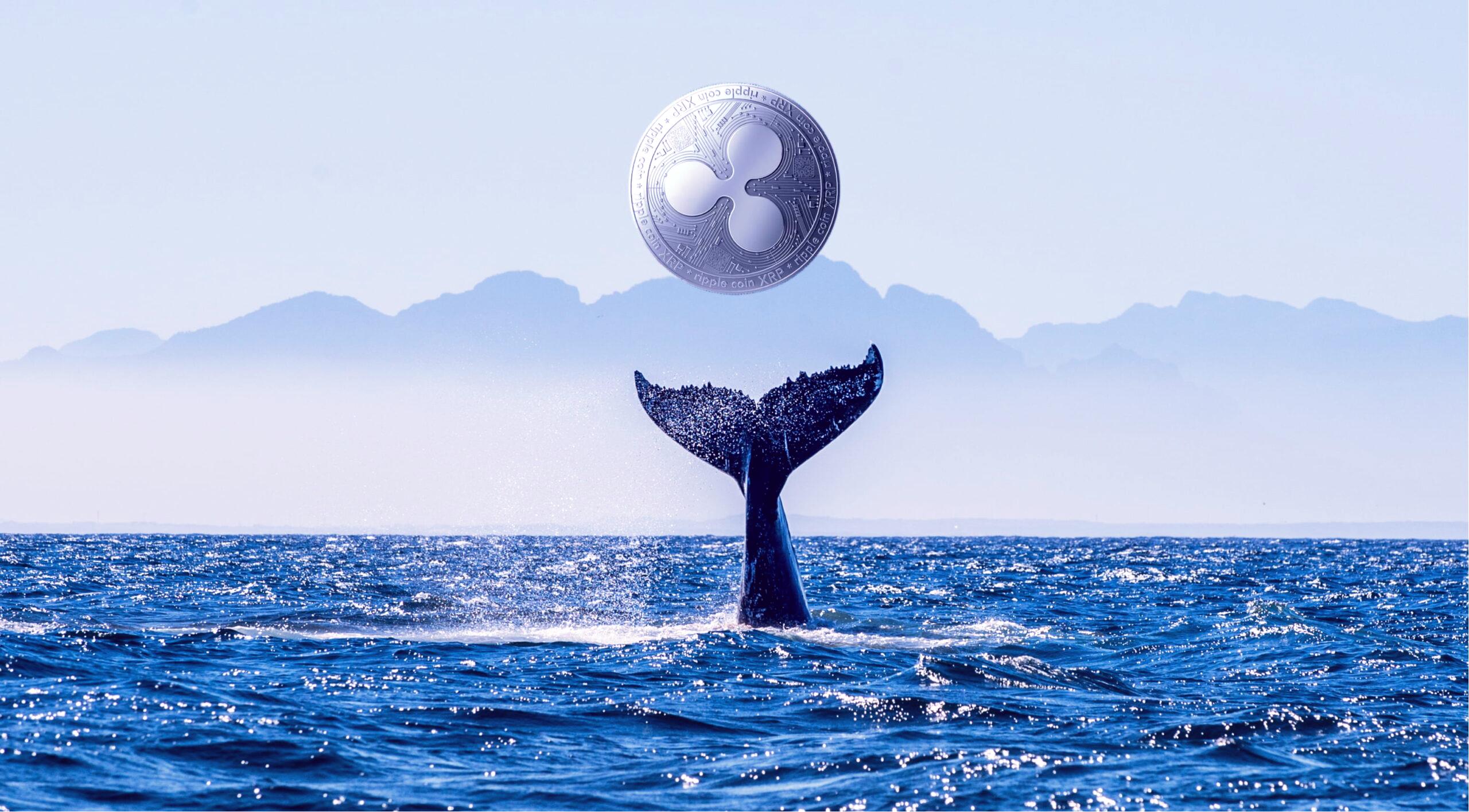 ripple-xrp-whale-scaled-1-freshblue