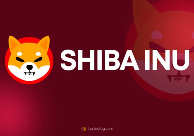 Shiba-INU