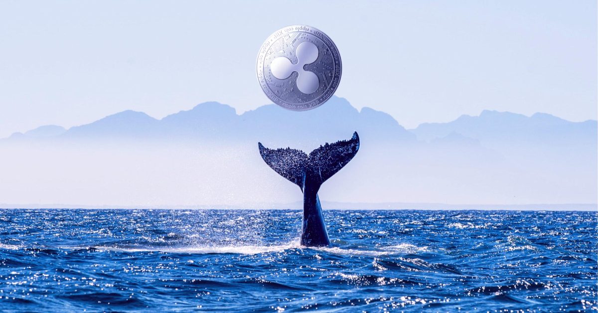 ripple-xrp-whale-scaled-1-freshblue